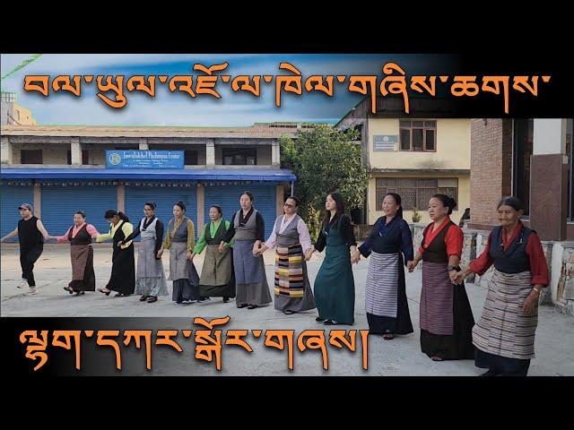 Lhakar Gorshey / བལ་ཡུལ་ལྷག་དཀར་སྒོར་གཞས། | Jawalakhel Samdupling Settlement Nepal / June 5, 2024