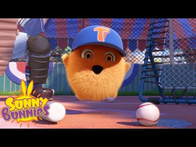 SUNNY BUNNIES - Turbo's New Friend | Season 3 | Cartoons for Children