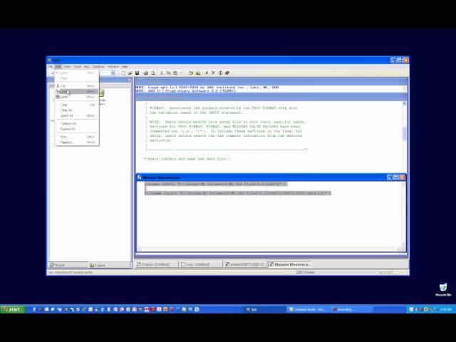 Reading Data into SAS Using a Setup File