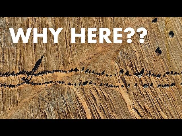 I Found the Southwest's Strangest Prehistoric Native American Artifact