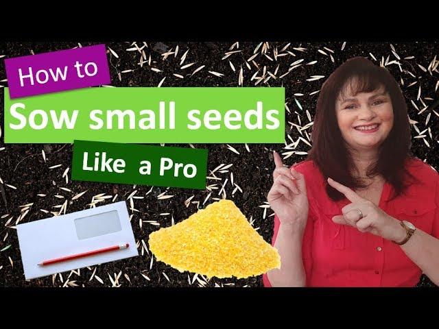 How to sow small seeds like a pro