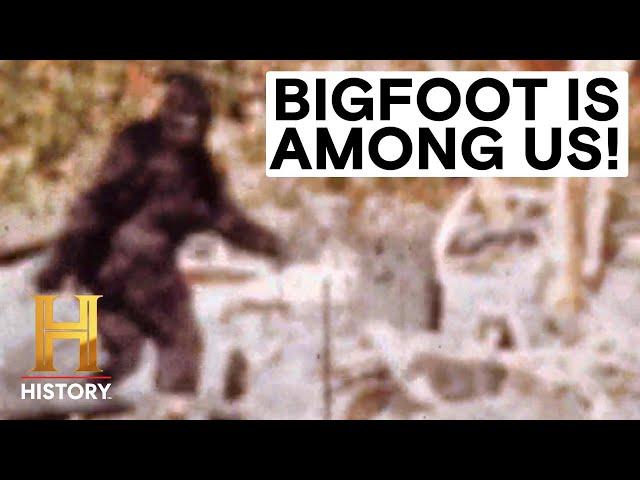 MonsterQuest: BIGFOOT & BIRDZILLA ARE OUT THERE *3 Hour Marathon*