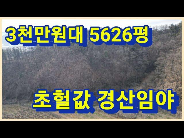 경산시 용성면 초급매 5626평 3천만원 대로 급처분 하는 경산 임야 가져가세요 3081