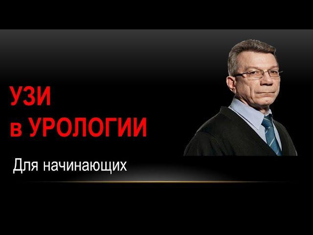 Ультразвуковое исследование предстательной железы (эхосемиотика структурных изменений).