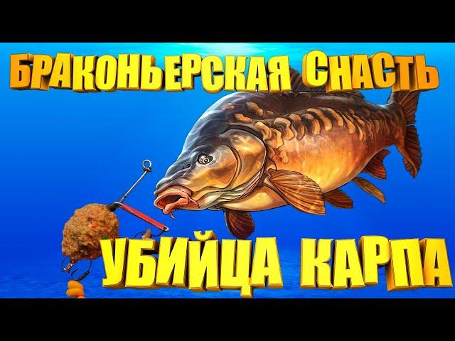 СУПЕР УЛОВИСТАЯ САМОДЕЛЬНАЯ снасть на КАРПА!!! УБИЙЦА КАРПА практически браконьерская снасть.