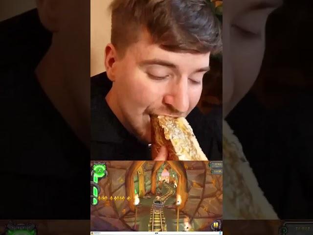 Lavish Bites