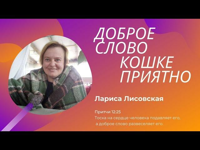 Доброе слово  кошке приятно / Лариса Лисовская