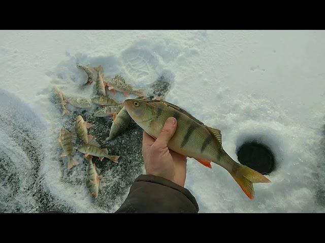 Рыбалка в Братске