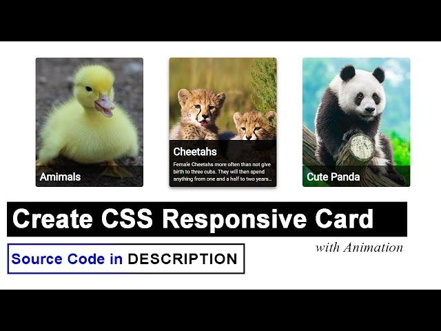 Create CSS Responsive Card with Animation | CSS Card