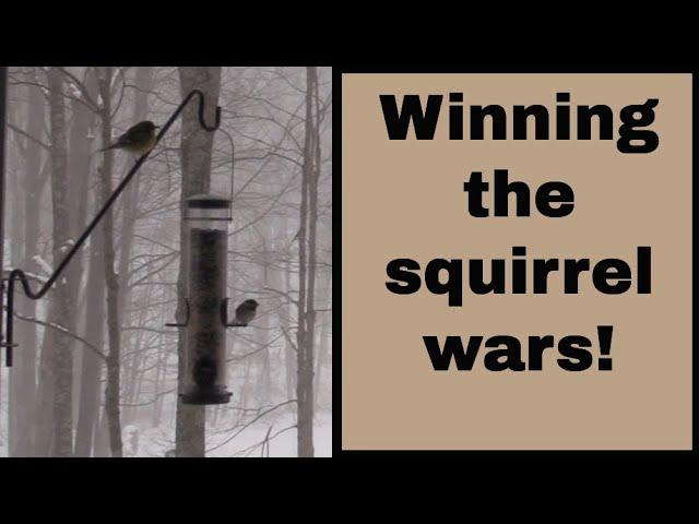 E7: How to keep squirrels off your bird feeders