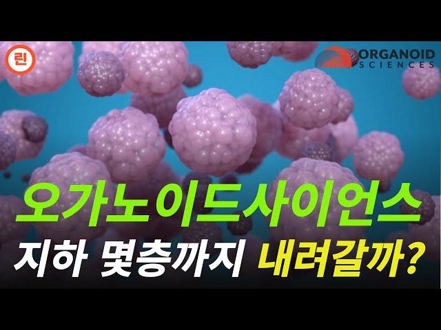 [오가노이드사이언스 분석] 단기시황 및 회사 주요 진행상황 정리 #오가노이드사이언스