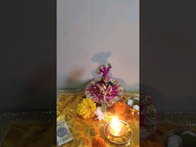 kamda ekadshi saral puja Vidhi #shortsvideo  #ekadashi # sawli Surat pr # ekadashi #2024