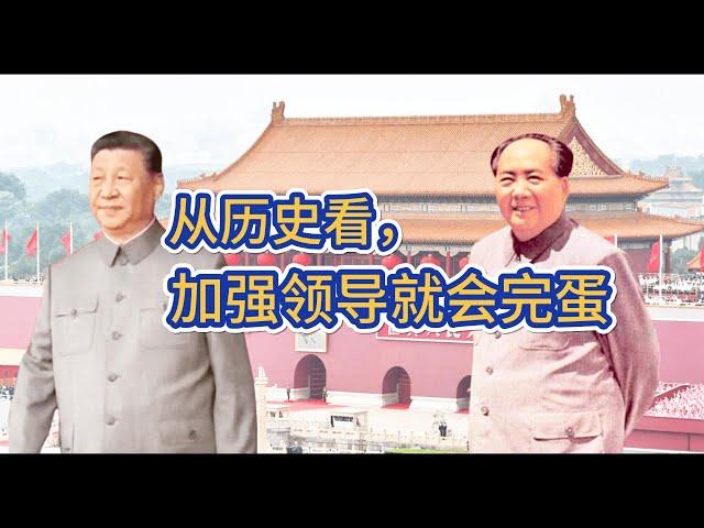 谢国忠：中国人最适合搞市场经济；习近平：加强党对经济工作的全面领导！