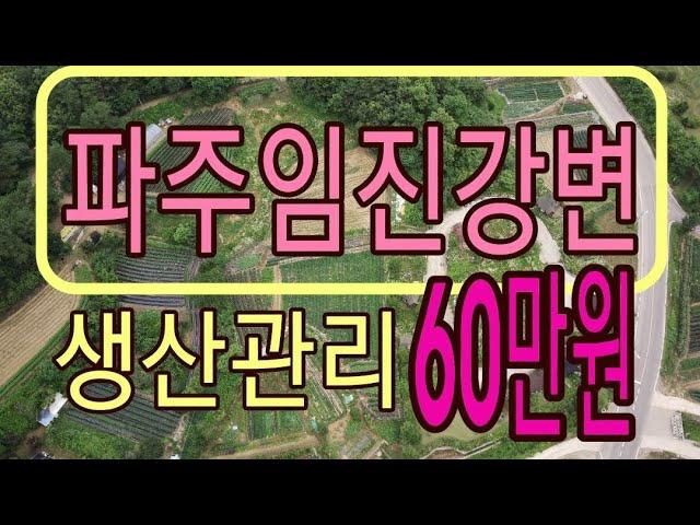 임진강변 생산관리 타운하우스 부지 1천평  60만원 급매