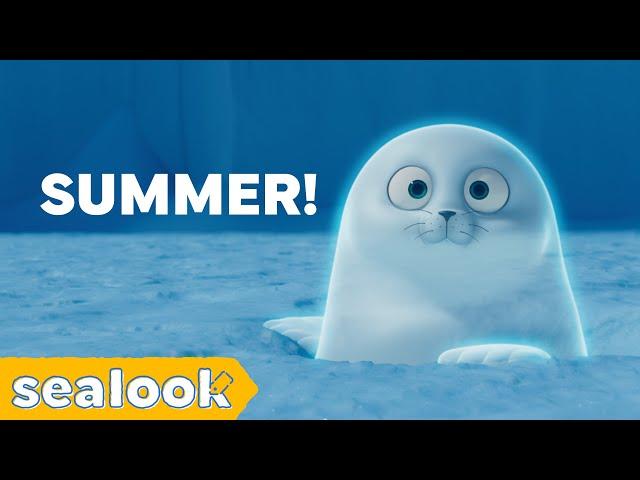 How the Cool Seals Deal with SummerㅣSEALOOKㅣEpisodes Compilation