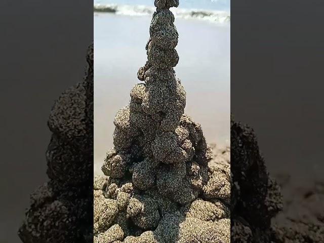 WEIRD..!?? TEMPLE ON THE BEACH