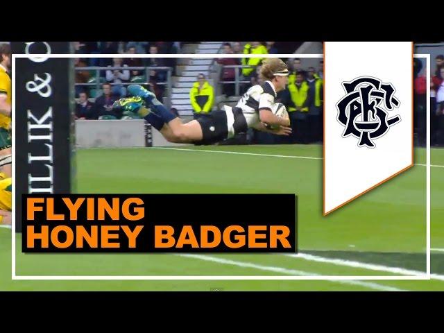 All Hail the Honey Badger! | HIGHLIGHTS