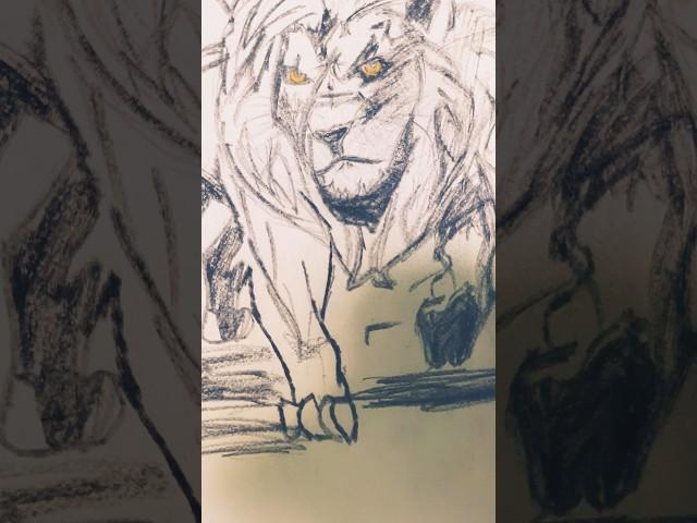 small boy lion drawing #lionking #animals #motivation #shortsdrawing #youtubeshorts #art #trending