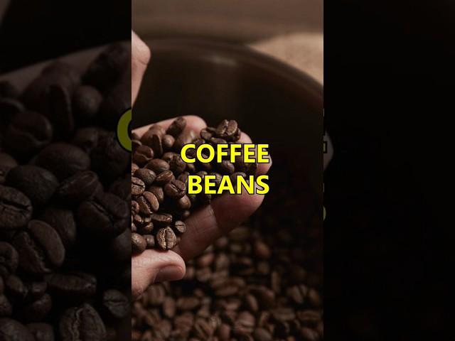 UNBELIEVABLE COFFEE Facts That Will Amaze You! #facts