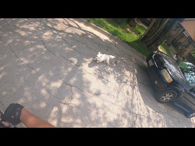 Dog Attacks on Callisburg, TX ride with Amputee Cyclist Aaron Smith on 5/1/2024