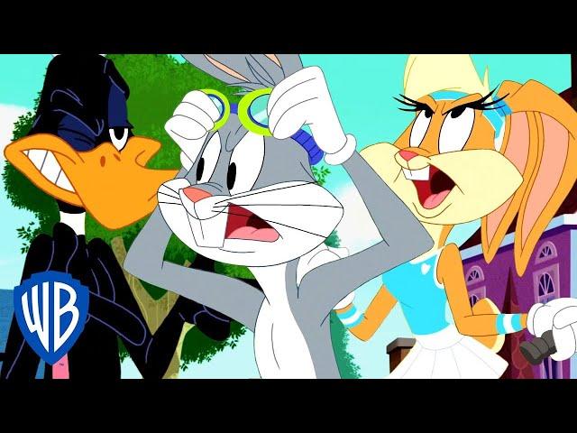 Looney Tunes en Latino | Frío abre el vol. 2 | WB Kids