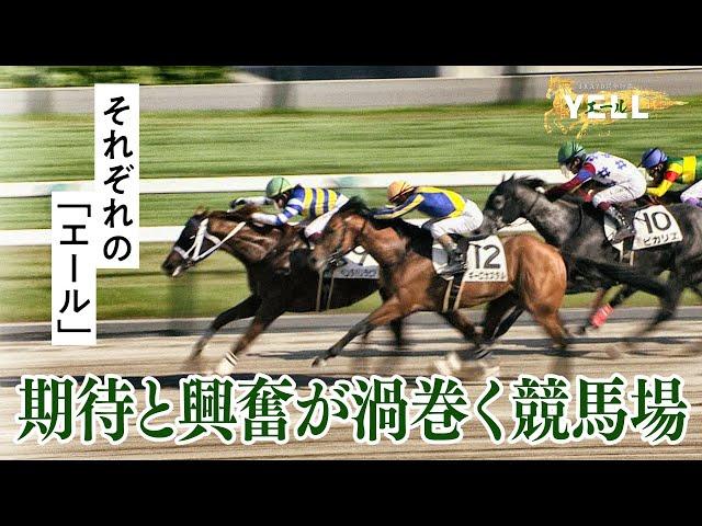 JRA70周年特番【YELL～馬とカケルミライ～】③期待と興奮が渦巻く競馬場