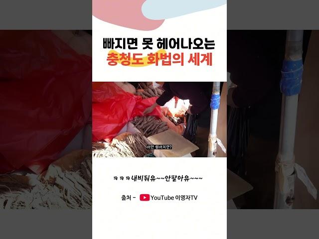 중독적인 충청도 화법 #shorts #충청도사투리