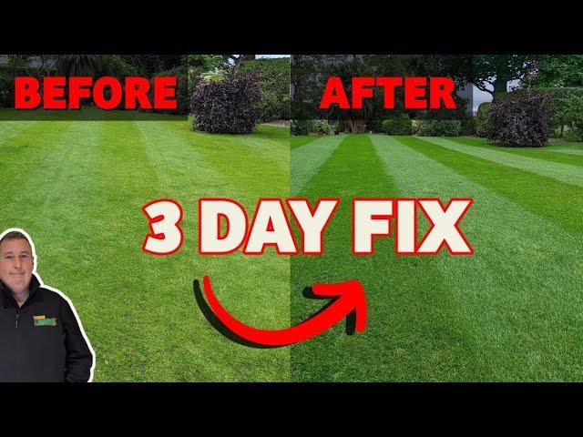 Two tricks to make your lawn greener this summer