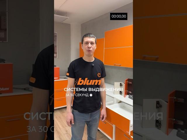 Системы выдвижения Blum