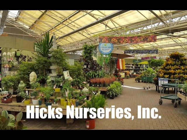 Hicks Nurseries, Inc. in Westbury, NY