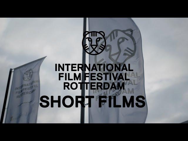 IFFR Short Film Highlights | IFFR 2020