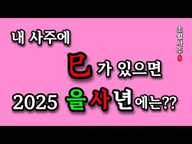 [2025년 운세] 내 사주에 사(巳)가 있으면, 2025 을사년에는??