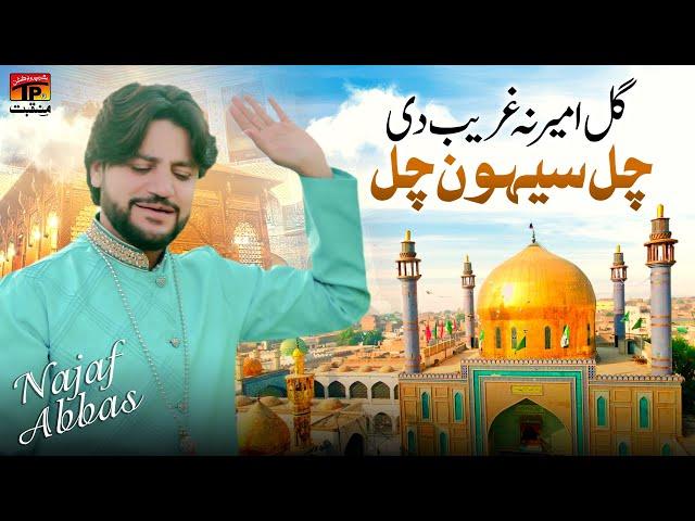 Gal Ameer Na Ghreeb Di Chal Sehwan Chal | Najaf Abbas | TP Manqabat