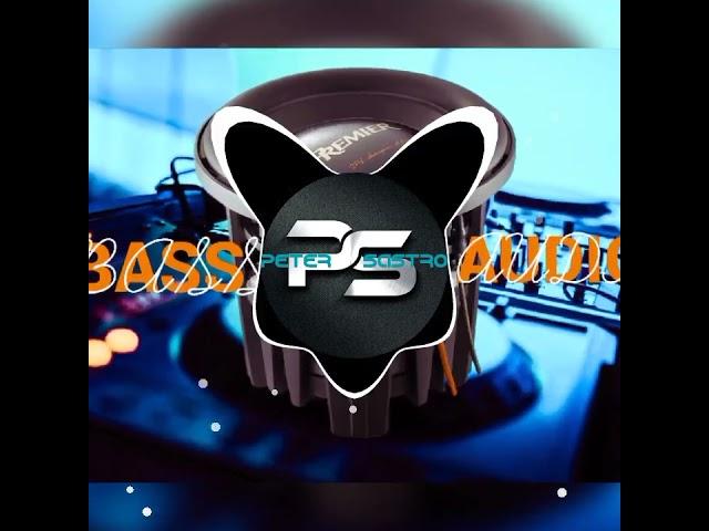 Bass Car Audio