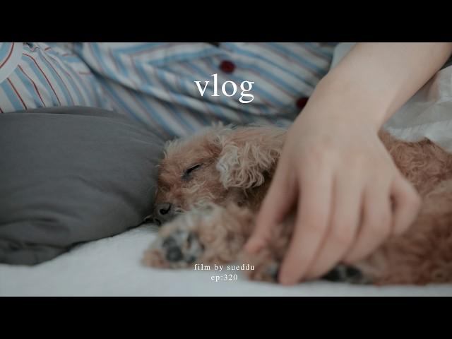 Spending Time with My Dog Who’s Like a Baby Now | Early Summer Vlog