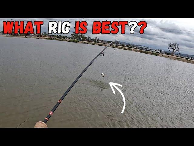 Mastering Trout Fishing: Dropshot and Carolina Rigs Explained