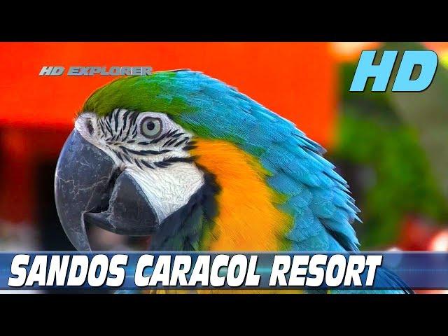 Hotel Sandos Caracol Eco Resort & Spa (Playa Del Carmen - Mexico)