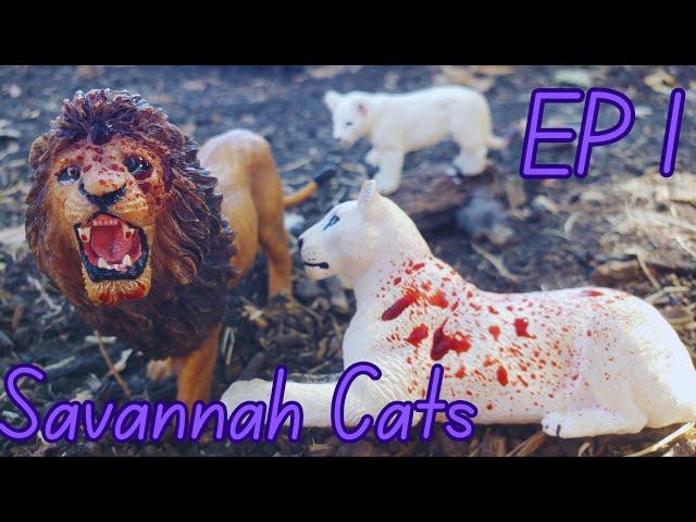 Savannah Cats |EP 1| Toy Lion / Cheetah / Leopard Series