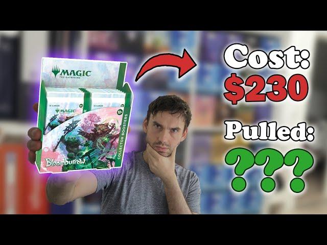 Bloomburrow Value One Month After Release. Collector Booster Box Opening