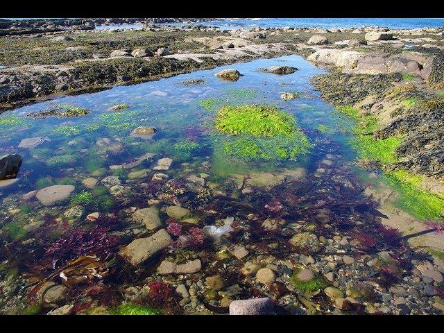 Places to see in ( Seahouses - UK )