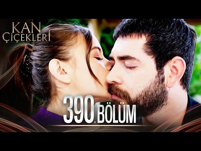 Kan Çiçekleri 390. Bölüm