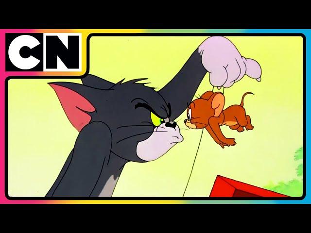 Tom & Jerry | The Craziest Cat and Mouse Mayhem! | Funny Cartoons | Compilation | @cnindia