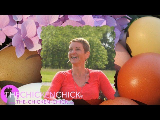 The Chicken Chick®