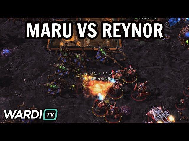 Maru vs Reynor (TvZ) - World Team League Summer 2024 [StarCraft 2]