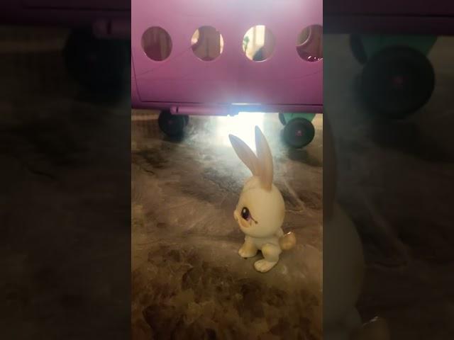 Ms.rabbit peppa pig #edit #toy #cute #toyanimal #bunny #unicorngirl #funny