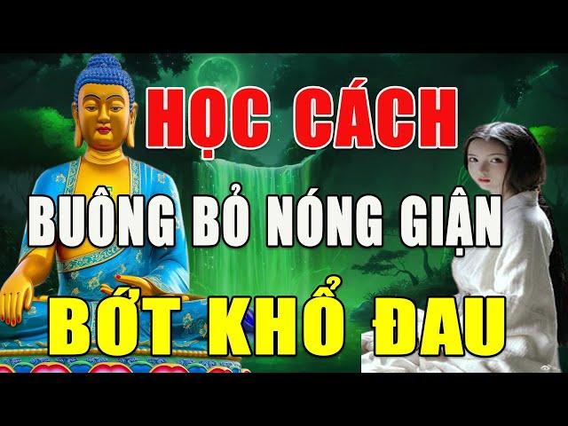 Phật dạy Không Tức Giận Học cách buông bỏ nóng giận để bớt khổ đau! Một Đời An Lạc