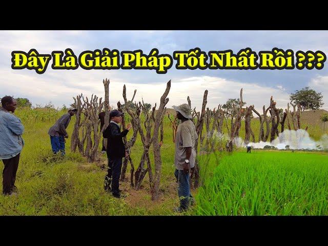 Quang Dũng || Đã Tìm Ra Giải Pháp Khắc Phục Thay Thế Một Phần Phân Bón Hoá Học Vốn Đắt Đỏ Ở Châu Phi