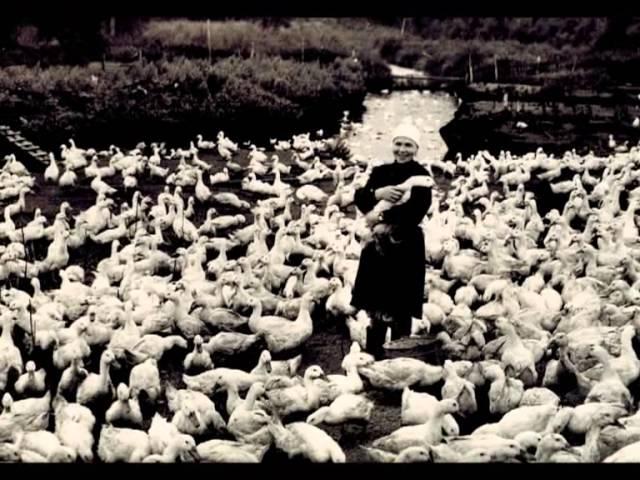 Юбилей СПК "Поляны" 70 лет