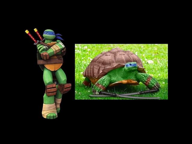 Las tortugas ninja en la vida real.Oscar Ninja