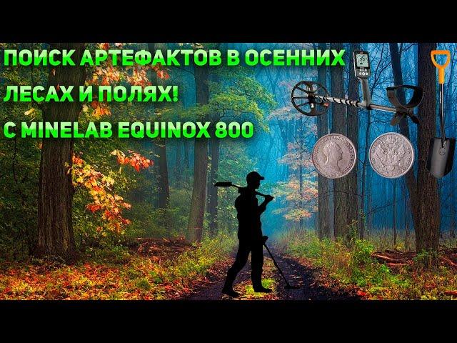 Поиск артефактов в осенних лесах и полях! C Minelab Equinox 800